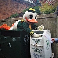 Duck putting ballot in ballot box