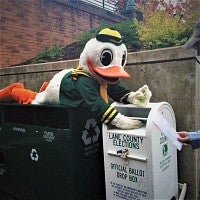 Duck puts ballot in ballot box at EMU Duck putting ballot in ballot box